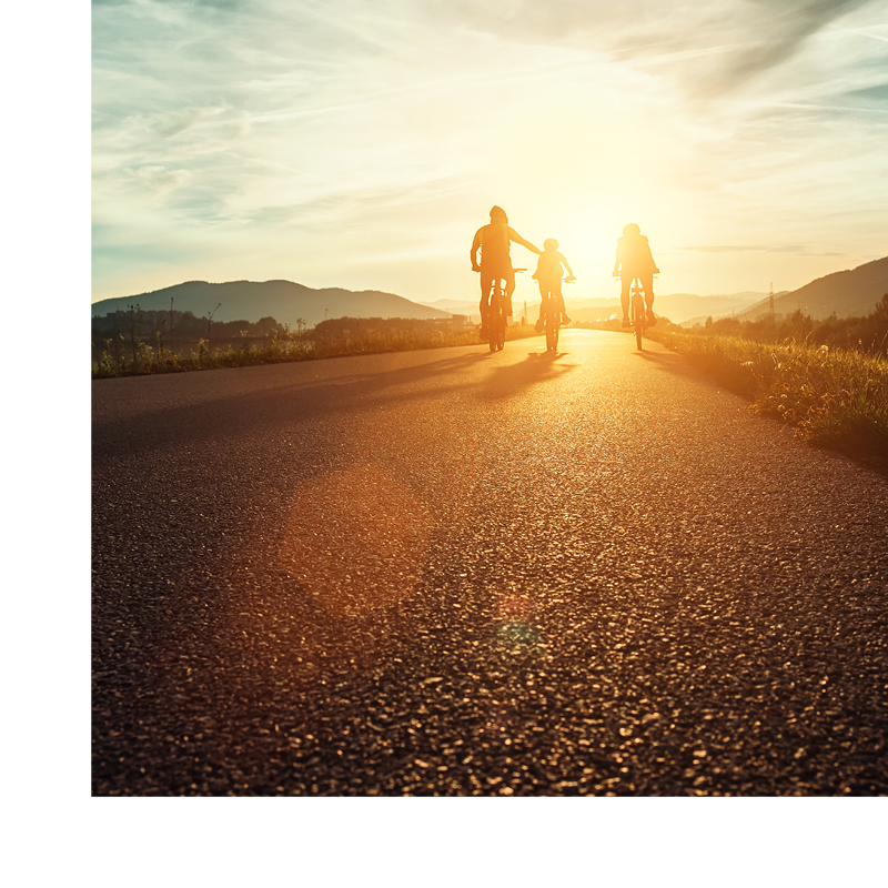 groupd of people riding bikes at sunset